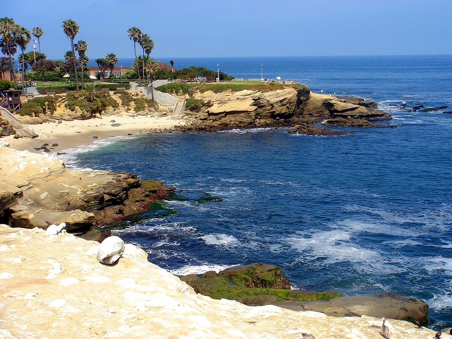 Spend Your Summer Break on San Diego's Top Beaches