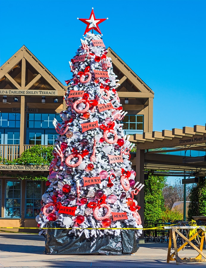 Celebrate the Holidays with Ease